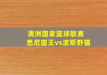 澳洲国家篮球联赛 悉尼国王vs波斯野猫